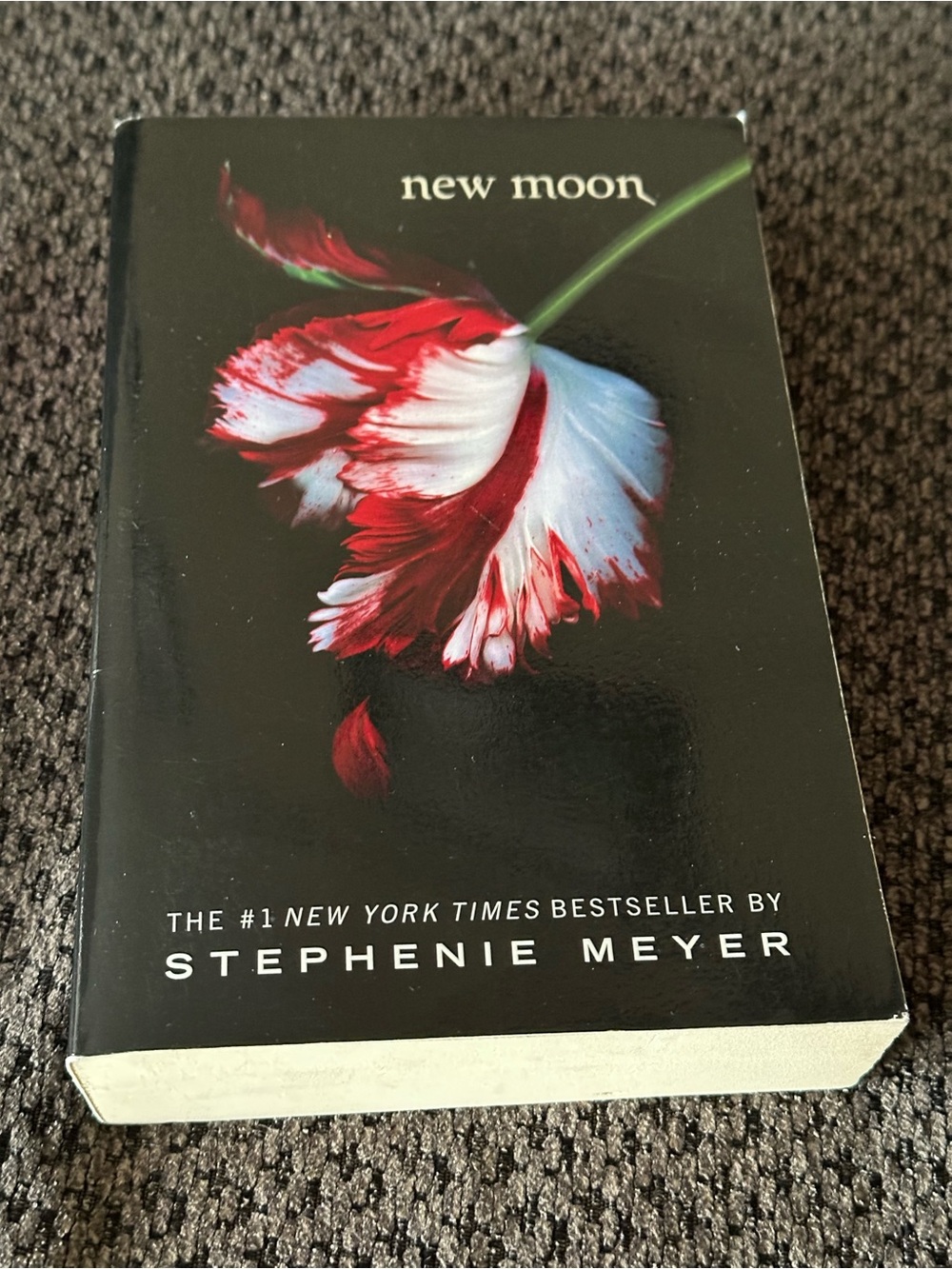 New Moon Hardcover-Style Black & Red Decorative Book